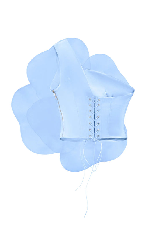 ТОП CAMELLIA BLUE