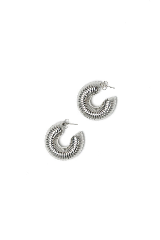 FOSSIL EARRINGS