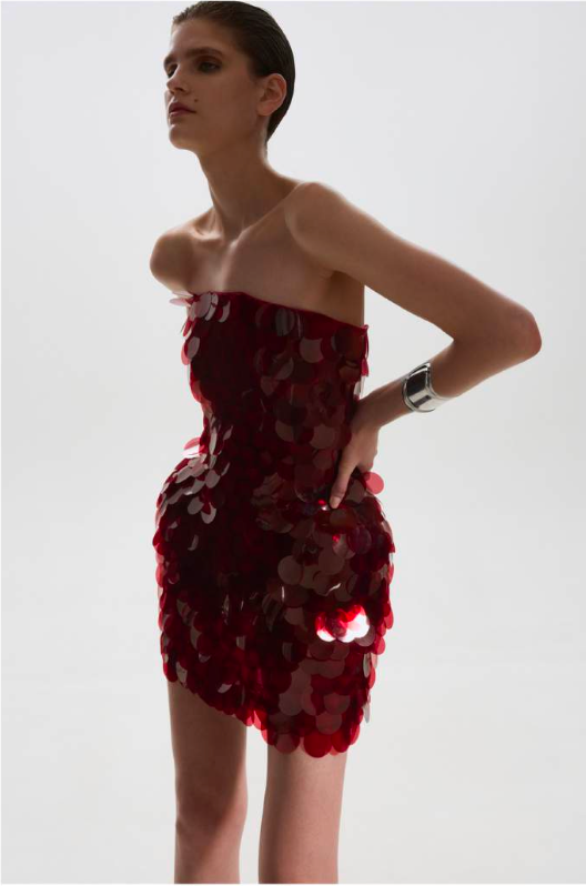 BURGUNDY SEQUINED MINI DRESS