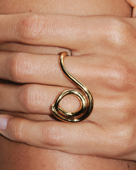 DOUBLE LASSO RING
