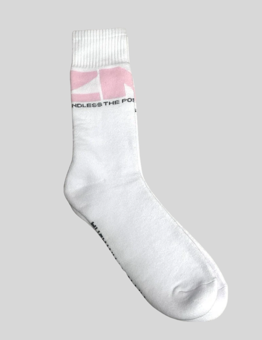 THE POSSIBILITIES ARE ENDLESS SOCKS