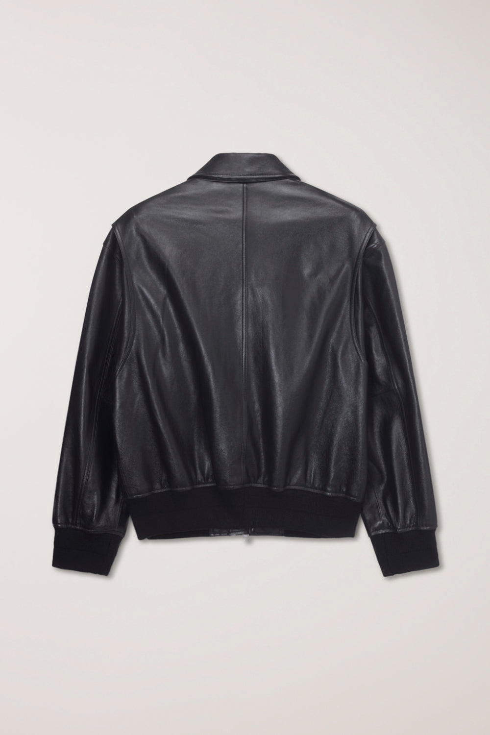 STAND COLLARED LEATHER BLOUSON BLK