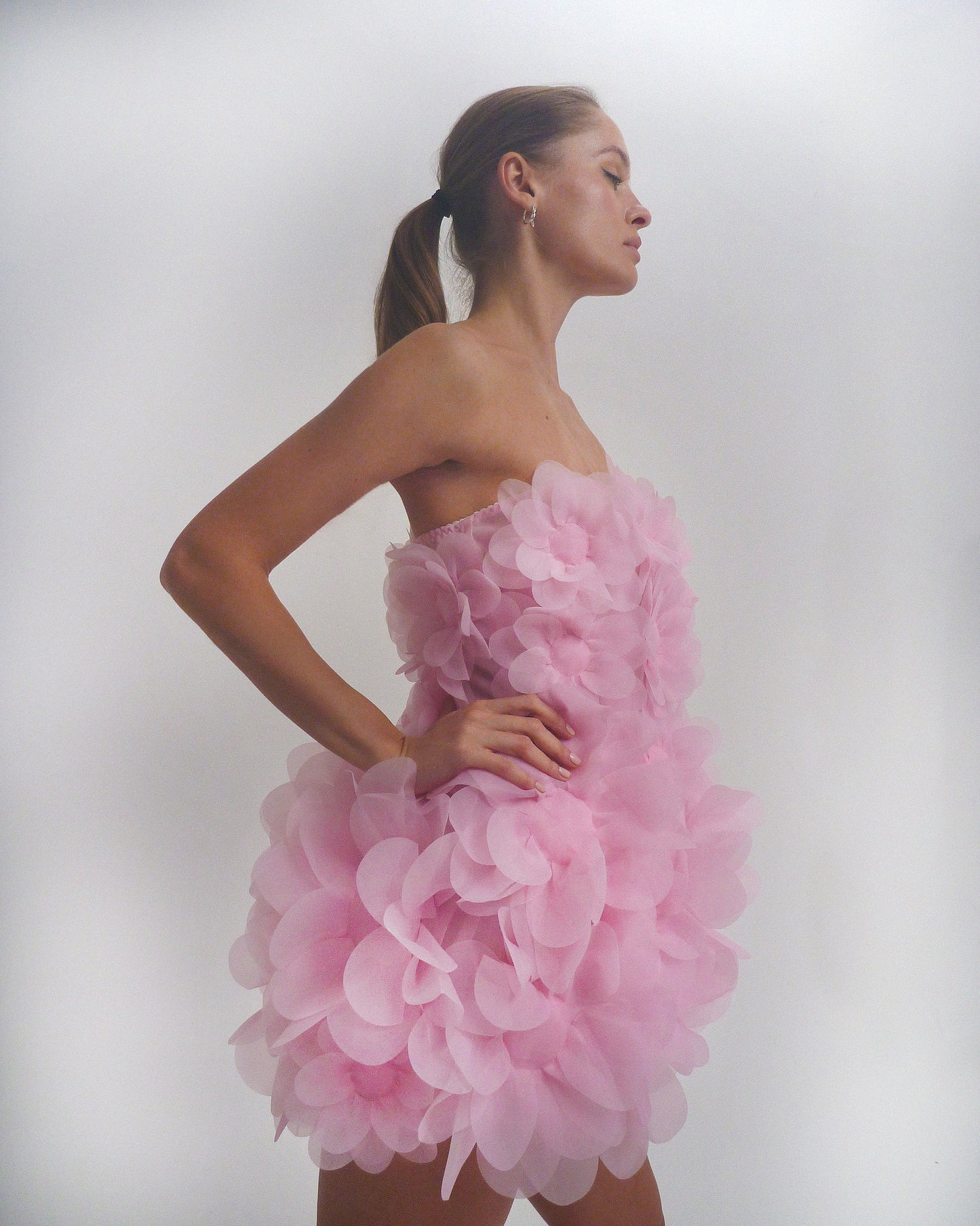 CORSET PINK PEONY DRESS