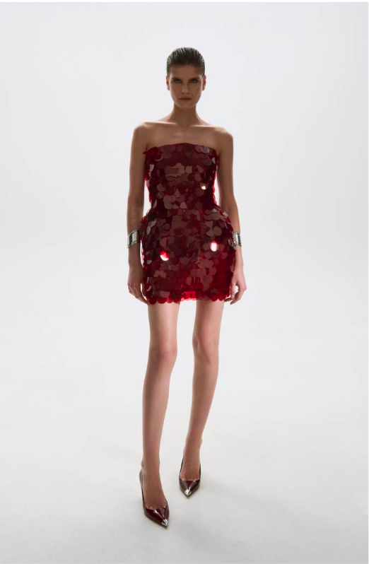 BURGUNDY SEQUINED MINI DRESS